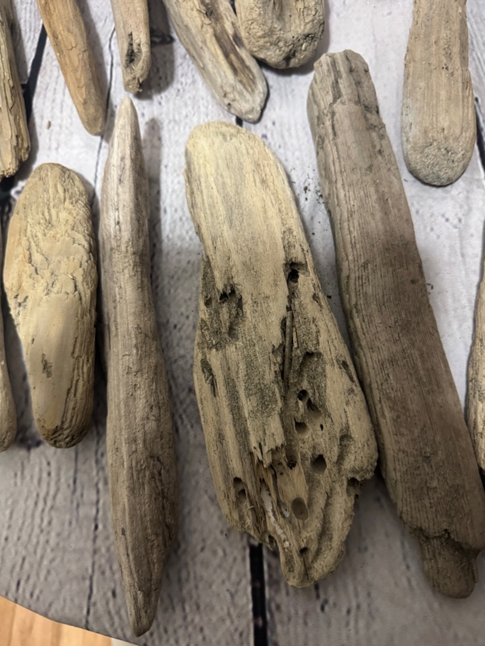 20 pieces PNW Pacific Ocean Grays Harbor Natural Driftwood Home Accent Bundle - Picture 12 of 17